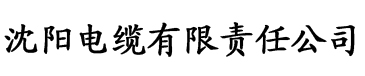 菲律宾的香蕉片电缆厂logo